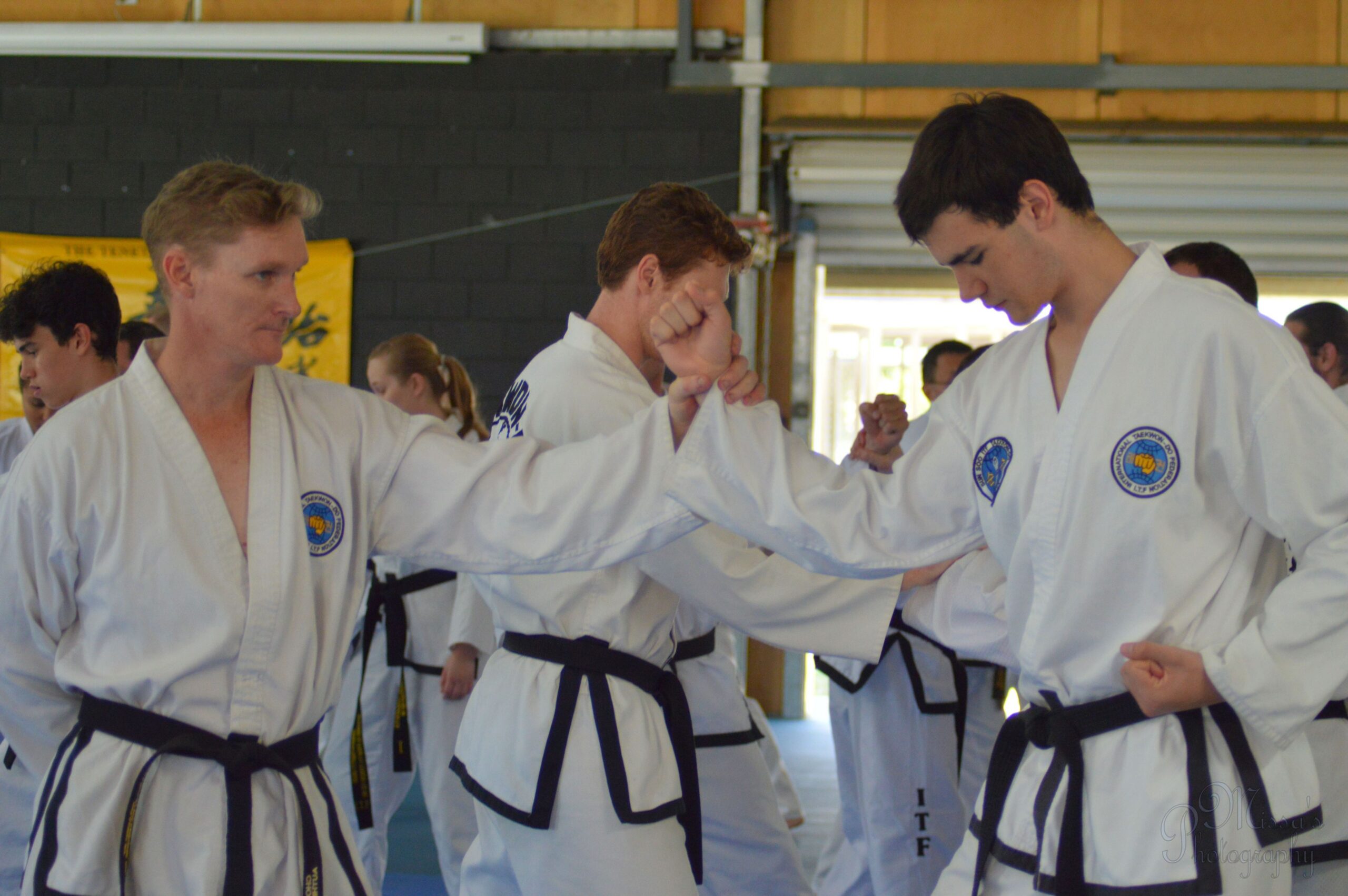GM_Hwang_Seminar_2016_084